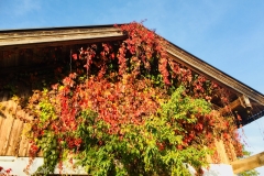 PhotoData_IMG_4759