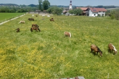 PhotoData_IMG_8873