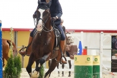 katrin-mogli-speed